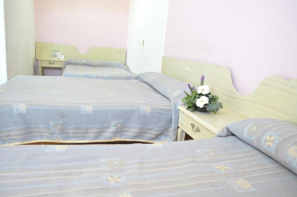 Hotel Viena Irapuato Zewnętrze zdjęcie