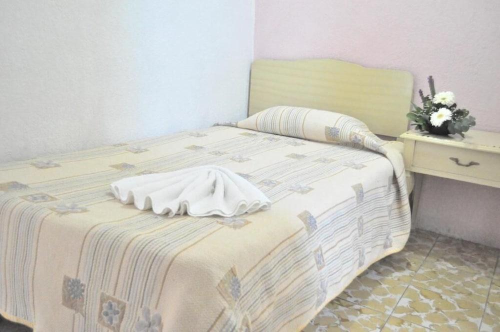 Hotel Viena Irapuato Zewnętrze zdjęcie