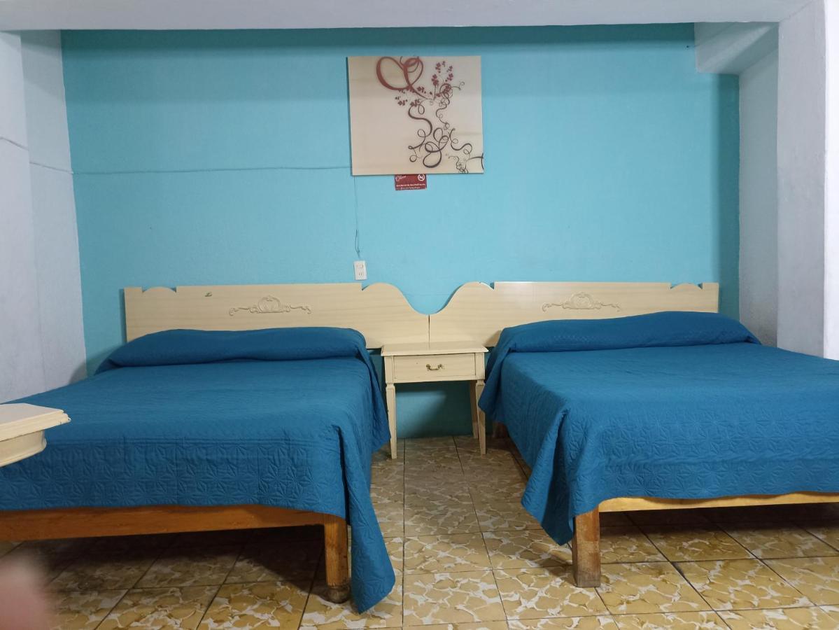 Hotel Viena Irapuato Zewnętrze zdjęcie